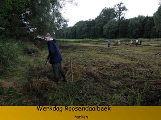 Werkdag Roosendaalbeek
harken
 