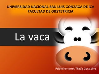 La vaca
Palomino torres Thalía Geraldine
UNIVERSIDAD NACIONAL SAN LUIS GONZAGA DE ICA
FACULTAD DE OBSTETRICIA
 