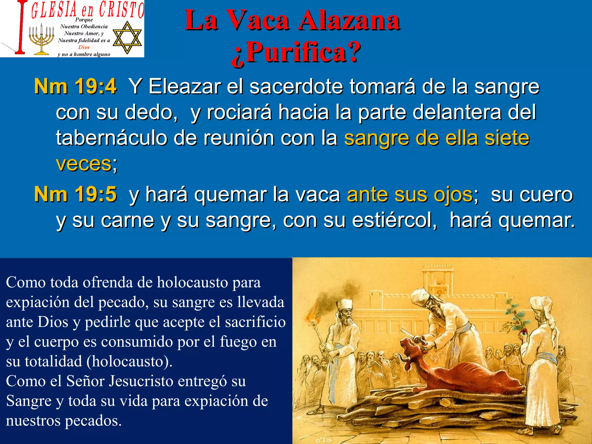 La Vacaca Ritual La vaca alazana purifica | PPT