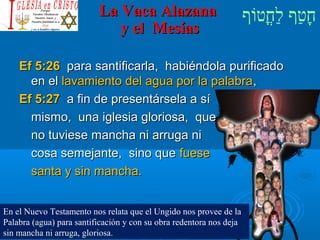 ‫וף‬ֹ‫ף‬‫חוט‬ֳ‫וט‬‫ל‬ַ‫ח‬ ‫וטף‬ַ‫ח‬‫ח‬ָLa Vaca AlazanaLa Vaca Alazana
y el Mesíasy el Mesías
Ef 5:26Ef 5:26 para santificarla, habiéndola purificadopara santificarla, habiéndola purificado
en elen el lavamiento del agua por la palabralavamiento del agua por la palabra,,
Ef 5:27Ef 5:27 a fin de presentársela a sía fin de presentársela a sí
mismo, una iglesia gloriosa, quemismo, una iglesia gloriosa, que
no tuviese mancha ni arruga nino tuviese mancha ni arruga ni
cosa semejante, sino quecosa semejante, sino que fuesefuese
santa y sin mancha.santa y sin mancha.
En el Nuevo Testamento nos relata que el Ungido nos provee de la
Palabra (agua) para santificación y con su obra redentora nos deja
sin mancha ni arruga, gloriosa.
 
