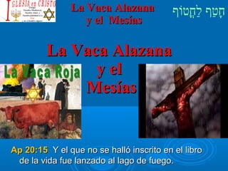 ‫וף‬ֹ‫ף‬‫חוט‬ֳ‫וט‬‫ל‬ַ‫ח‬ ‫וטף‬ַ‫ח‬‫ח‬ָLa Vaca AlazanaLa Vaca Alazana
y el Mesíasy el Mesías
La Vaca AlazanaLa Vaca Alazana
y ely el
MesíasMesías
Ap 20:15Ap 20:15 Y el que no se halló inscrito en el libroY el que no se halló inscrito en el libro
de la vida fue lanzado al lago de fuego.de la vida fue lanzado al lago de fuego.
 