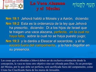 ‫וף‬ֹ‫ף‬‫חוט‬ֳ‫וט‬‫ל‬ַ‫ח‬ ‫וטף‬ַ‫ח‬‫ח‬ָLa Vaca AlazanaLa Vaca Alazana
y el Mesíasy el Mesías
Nm 19:1Nm 19:1 Jehová habló a Moisés y a Aarón, diciendo:Jehová habló a Moisés y a Aarón, diciendo:
Nm 19:2Nm 19:2 Esta es la ordenanza de la ley que JehováEsta es la ordenanza de la ley que Jehová
ha prescrito, diciendo: Di a los hijos de Israel queha prescrito, diciendo: Di a los hijos de Israel que
te traigan una vaca alazana,te traigan una vaca alazana, perfecta, en la cual noperfecta, en la cual no
haya faltahaya falta, sobre la cual no se haya puesto yugo;, sobre la cual no se haya puesto yugo;
Nm 19:3Nm 19:3 y la daréis a Eleazar el sacerdote, y él lay la daréis a Eleazar el sacerdote, y él la
sacará fuera del campamentosacará fuera del campamento, y la hará degollar en, y la hará degollar en
su presencia.su presencia.
Las cosas que se ofrendan a Jehová deben ser de exclusiva orientación desde la
concepción, la vaca no tiene otro objetivo sino ser ofrenda para Dios. Es un prototipo
del Mesías, por lo que debe ser perfecta, será sacrificada fuera del campamento, como
Cristo fue Crucificado fuera de los muros de Jerusalén.
 