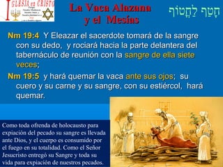 ‫וף‬ֹ‫ף‬‫חוט‬ֳ‫וט‬‫ל‬ַ‫ח‬ ‫וטף‬ַ‫ח‬‫ח‬ָLa Vaca AlazanaLa Vaca Alazana
y el Mesíasy el Mesías
Nm 19:4Nm 19:4 Y Eleazar el sacerdote tomará de la sangreY Eleazar el sacerdote tomará de la sangre
con su dedo, y rociará hacia la parte delantera delcon su dedo, y rociará hacia la parte delantera del
tabernáculo de reunión con latabernáculo de reunión con la sangre de ella sietesangre de ella siete
vecesveces;;
Nm 19:5Nm 19:5 y hará quemar la vacay hará quemar la vaca ante sus ojosante sus ojos; su; su
cuero y su carne y su sangre, con su estiércol, harácuero y su carne y su sangre, con su estiércol, hará
quemar.quemar.
Como toda ofrenda de holocausto para
expiación del pecado su sangre es llevada
ante Dios, y el cuerpo es consumido por
el fuego en su totalidad. Como el Señor
Jesucristo entregó su Sangre y toda su
vida para expiación de nuestros pecados.
 