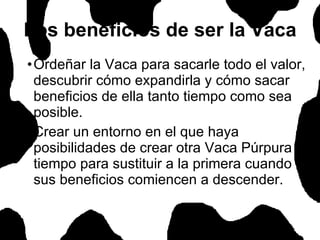 Ordeñar la Vaca para sacarle todo el valor, descubrir cómo expandirla y cómo sacar beneficios de ella tanto tiempo como sea posible.  Crear un entorno en el que haya posibilidades de crear otra Vaca Púrpura a tiempo para sustituir a la primera cuando sus beneficios comiencen a descender.  Los beneficios de ser la Vaca 