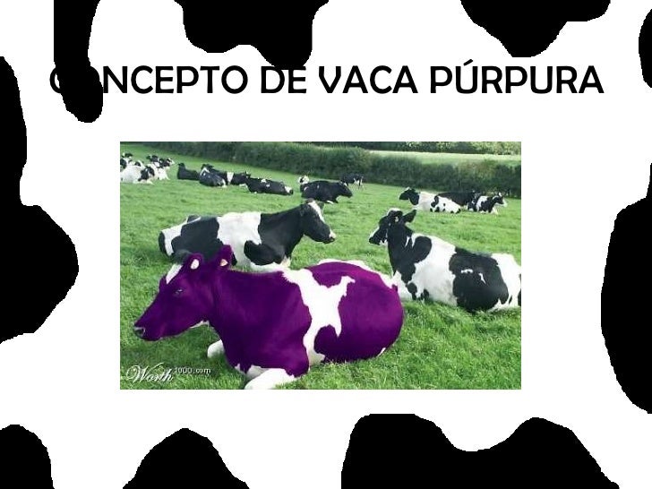 La Vaca Purpura Resumen