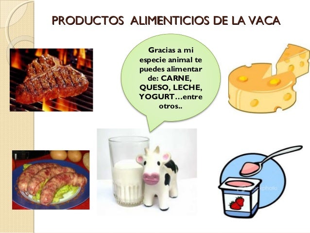 La vaca y la oveja