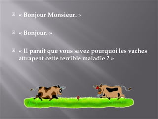 « Bonjour Monsieur. » « Bonjour. » « Il parait que vous savez pourquoi les vaches attrapent cette terrible maladie ? » 