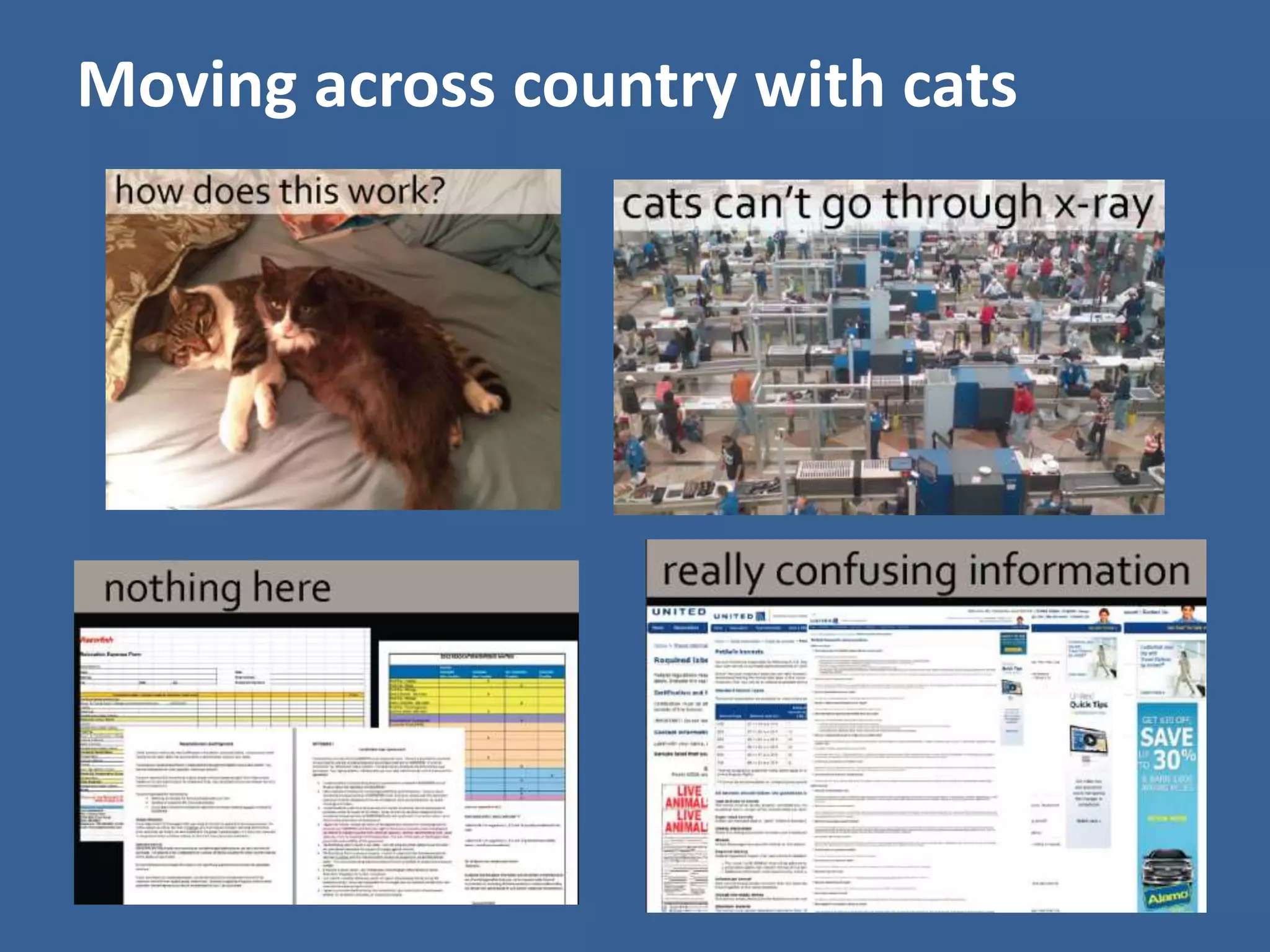 Moving across country with cats 
 