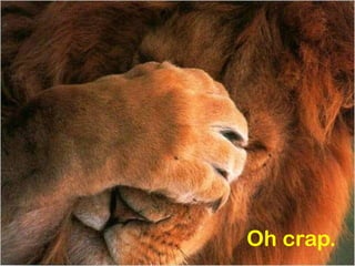 Oh crap. 