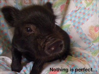 Nothing is perfect… 