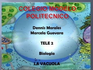 Dennis Morales
Marcela Guevara

    TELE 2

   Biología

 LA VACUOLA
 