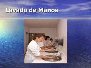Lavado de Manos 