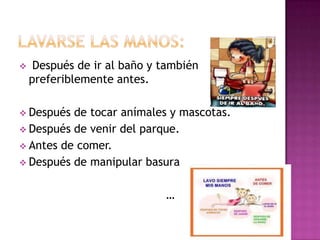  Después de ir al baño y también
preferiblemente antes.
 Después de tocar anímales y mascotas.
 Después de venir del parque.
 Antes de comer.
 Después de manipular basura
…
 