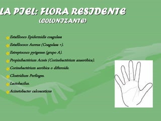 LA PIEL: FLORA RESIDENTE
(COLONIZANTE)
Estafilooco Epidermidis coagulasa
Estafilococo Aureus (Coagulasa +).
Estreptococo pyógenes (grupo A).
Propinibactérium Acnés (Corinebactérium anaeróbica).
Corinebactérium aeróbica o difteroide.
Clostridium Perfinges.
Lactobacilus.
Acinetobacter calcoaceticus
 