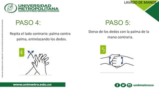 PASO 4: PASO 5:
Repita el lado contrario: palma contra
palma, entrelazando los dedos.
Dorso de los dedos con la palma de la
mano contraria.
 