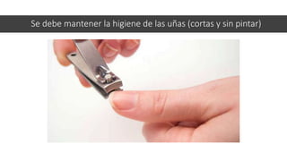 Se debe mantener la higiene de las uñas (cortas y sin pintar)
 