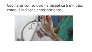 Cepillares con solución antiséptica 5 minutos
como la indicada anteriormente.
 