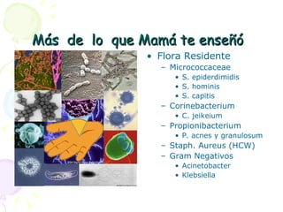 Más  de  lo  que Mamá te enseñó Flora Residente  Micrococcaceae S. epiderdimidis S. hominis S. capitis Corinebacterium C. jeikeium Propionibacterium P. acnes y granulosum Staph. Aureus (HCW) Gram Negativos Acinetobacter Klebsiella 