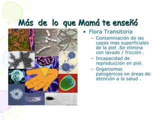 Más  de  lo  que Mamá te enseñó Flora Transitoria Contaminación de las capas mas superficiales de la piel .Se elimina con lavado / fricción . Incapacidad de reproducción en piel. Organismos patogénicos en áreas de atención a la salud . 
