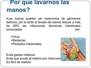 Por que lavarnos las
manos?
Las manos pueden ser reservorios de gérmenes
dañinos, por lo tanto el lavado de manos reduce a más
de 50% las infecciones diarreicas intestinales
provocadas                                        por:

   >Virus.
   >Bacterias.
   >Parásitos intestinales.


Evita gastos médicos
Evita que acuda al médico por infecciones
Es fácil de realizar
 