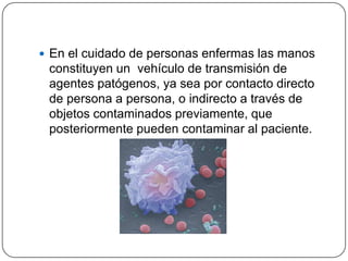  En el cuidado de personas enfermas las manos
 constituyen un vehículo de transmisión de
 agentes patógenos, ya sea por contacto directo
 de persona a persona, o indirecto a través de
 objetos contaminados previamente, que
 posteriormente pueden contaminar al paciente.
 