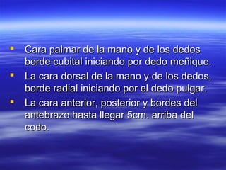    Cara palmar de la mano y de los dedos
    borde cubital iniciando por dedo meñique.
   La cara dorsal de la mano y de los dedos,
    borde radial iniciando por el dedo pulgar.
   La cara anterior, posterior y bordes del
    antebrazo hasta llegar 5cm. arriba del
    codo.
 
