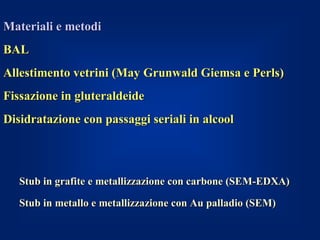 Materiali e metodi
BAL
Allestimento vetrini (May Grunwald Giemsa e Perls)
Fissazione in gluteraldeide
Disidratazione con passaggi seriali in alcool



   Stub in grafite e metallizzazione con carbone (SEM-EDXA)

   Stub in metallo e metallizzazione con Au palladio (SEM)
 