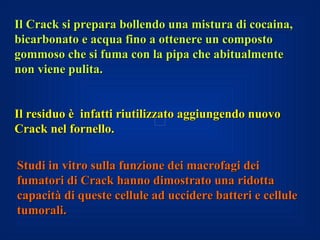 Il Crack si prepara bollendo una mistura di cocaina,
bicarbonato e acqua fino a ottenere un composto
gommoso che si fuma con la pipa che abitualmente
non viene pulita.


Il residuo è infatti riutilizzato aggiungendo nuovo
Crack nel fornello.

    .
Studi in vitro sulla funzione dei macrofagi dei
fumatori di Crack hanno dimostrato una ridotta
capacità di queste cellule ad uccidere batteri e cellule
tumorali.
 