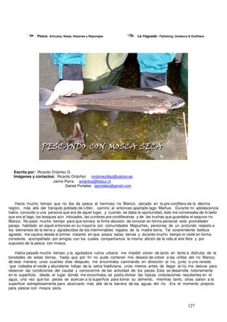 Pesca: Artículos, Notas, Historias y Reportajes         La Vaguada - Flyfishing, Outdoors & Outfitters




  Escrito por: Ricardo Ordoñez D.
  Imágenes y contactos: Ricardo Ordoñez rordonezdiaz@yahoo.es
                       Jaime Parra antartica@telsur.cl
                              Daniel Portales dportales@gmail.com



    Hacia mucho tiempo que no iba de pesca al hermoso río Blanco; ubicado en la pre-cordillera de la décima
región, más allá del tranquilo poblado de Llifén, camino al entonces apartado lago Maihue. Durante mi adolescencia
había conocido a una persona que era de aquel lugar, y cuando se daba la oportunidad, éste me conversaba de lo bello
que era el lago, los bosques aún intocados, las cumbres pre-cordilleranas y de las truchas que guardaba el esquivo río
Blanco. No pasó mucho tiempo para que tomara la firme decisión de conocer en forma personal este prometedor
paraje, habitado en aquel entonces en su mayoría por comunidades Mapuches, personas de un profundo respeto a
los elementos de la tierra y agradecidos de los interminables regalos de la madre tierra. Tal sorprendente belleza
agreste, me cautivo desde el primer instante en que pisara estas tierras y durante mucho tiempo lo visité en forma
constante, acompañado por amigos, con los cuales compartíamos la misma afición de la vida al aire libre y por
supuesto de la pesca con mosca.

    Había pasado mucho tiempo, y la agotadora rutina urbana me impidió volver de tanto en tanto a disfrutar de la
bondades de estas tierras, hasta que por fin no pude contener mis deseos de volver a las orillas del río Blanco;
de esta manera, unos cuantos días después, me encontraba caminando en dirección al río, junto a una vereda
 que rodeaba el verde y abundante follaje de la selva Valdiviana, unos metros antes de llegar al río, me detuve para
observar las condiciones del caudal y cerciorarme de las actividad de los peces. Esta se desarrolla notoriamente
en la superficie, desde el lugar donde me encontraba, se podía divisar las típicas ondulaciones resultantes en el
agua, una vez que los peces se acercan a la superficie para tomar su alimento, mientras tanto, otras salían a la
superficie estrepitosamente para alcanzarlo más allá de la barrera de las aguas del río. Era el momento propicio
para pescar con mosca seca.



                                                                                                          127
 