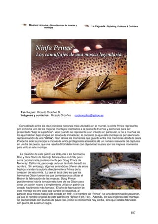 Moscas: Artículos y Notas técnicas de moscas y         La Vaguada - Flyfishing, Outdoors & Outfitters
                        montajes




   Escrito por: Ricardo Ordoñez D.
   Imágenes y contactos: Ricardo Ordoñez             rordonezdiaz@yahoo.es



  Considerado entre los diez primeros patrones más utilizados en el mundo, la ninfa Prince representa
por si misma uno de los mejores montajes orientados a la pesca de truchas y salmones para ser
presentado "bajo la superficie". Aún cuando no representa a un insecto en particular, si no a muchos de
los que habitan bajo el agua en estado de inmadurez, lo concreto es que este montaje es por esencia la
representación de una "ninfa". Son tantos los momentos que guardo entre mis memorias donde la ninfa
Prince ha sido la principal e incluso la única protagonista acreedora de un número relevante de capturas
en un día de pesca, que me resulta difícil determinar con objetividad cuales son los mejores momentos
para utilizar este montaje.

  La creación de este patrón es atribuida a los hermanos
Don y Dick Olson de Bemidji, Minnesotas en USA, pero
sería popularizada posteriormente por Doug Prince de
Monerey, California, personaje del cual también heredó su
nombre. Sin embargo, algunos entendidos difieren de estos
hechos y le dan la autoría directamente a Prince de la
creación de esta ninfa. Lo que si está claro es que los     _
hermanos Olson fueron los que comenzaron a utilizar el
Biot en la fabricación de las moscas. Doug Prince
posiblemente habría tomado esta idea de los Olson para
crear un patrón nuevo o simplemente utilizó un patrón ya
creado haciéndolo más famoso. El año de fabricación de
este montaje es otro dato que carece de exactitud, al
parecer esta mosca había sido creada en 1951 y el nombre de “Prince” fue una denominación posterior,
ya que el nombre original de este patrón era "Brown Fork Tail". Además, en sus orígenes este montaje
no era fabricado con plumas de pavo real, como lo conocemos hoy en día, sino que estaba fabricado
con pluma de avestruz negra.


                                                                                                       187
 
