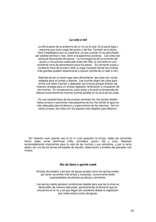 La cola o tail

           La última parte de la anatomía de un río es la cola. Es la parte baja y
            estrecha que viene luego del pozón o del flat. También se la llama
          “slick”(resbaladizo) por su superficie, ya que cuando no es perturbada
         por piedras bochas o ripio, tiene una apariencia aceitosa. Las colas son
           sectores fascinantes de pescar. La convergencia de la corriente del
            pozón y una primera acelerada antes del riffle, la convierte en una
          excelente zona de alimentación para los peces. Su corriente suave y
           constante hace de la cola o slick un lugar tranquilo donde las truchas
          más grandes pueden estacionarse y buscar comida de un lado a otro.

           Además de ser un buen lugar para alimentarse, las colas son zonas
           elegidas para el cortejo y desove. Las truchas eligen las colas para
           armar sus nidos (camas) y depositar sus huevos porque ofrecen las
         mejores ventajas para un exitoso depósito, fertilización e incubación de
          los mismos. En consecuencia, justo antes y durante la temporada de
         desove encontraremos muchas truchas adultas en la zona de las colas.

           Es una característica de las truchas remontar los ríos donde residen
          hasta arroyos o secciones más pequeños de los ríos donde el agua es
          más adecuada para el desove y supervivencia de los alevines. Aún en
           estos arroyos, las colas son los lugares más elegidos para desovar.




    Sin importar cuan grande sea el río ni cuan pequeño el arroyo, todas las corrientes
tienen estas zonas distintivas (riffle, corredera, pozón, flat y cola). Resultan
extremadamente importantes para la vida de las truchas y sus alimentos, y por lo tanto
deben ser uno de los temas principales de estudio, observación y análisis del pescador con
mosca.




                             Río de llano o sprink creek

         Arroyos de pradera y arroyos de aguas quietas como los spring creeks,
             por tener corrientes más lentas y tranquilas, comúnmente están
                    superpoblados de plantas acuáticas y terrestres.

          Los spring creeks generan condiciones ideales para que las truchas se
           desarrollen de manera adecuada, aprovechando el alimento que se
          encuentra en el río y los que llegan por accidente desde la vegetación
                            que rodea estos cursos de aguas.




                                                                                         49
 