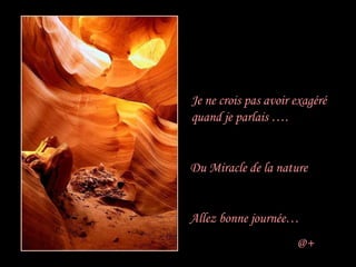 Je ne crois pas avoir exagéré quand je parlais …. Du Miracle de la nature Allez bonne journée… @+ 
