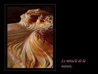 Le miracle de la nature. 