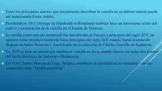  Entre los principales autores que inicialmente describen la vainilla en su hábitat natural puede
ser mencionado Fusée Aublet.
 Humboldt en 1811 (Voyage de Humboldt et Bonpland) también hace un interesante relato del
cultivo y preparación de la vainilla en el Estado de Veracruz.
 la vainilla como artículo comercial fue introducida en Europa a principios del siglo XVI, no
aparece como producto hortícola hasta principios del siglo XIX cuando llamó la atención
después de haber florecido y fructificado en la colección de Charles Greville en Inglaterra.
 En 1819 se hizo un intento por establecer vainilla en Java, cuando fueron enviadas dos plantas
del Jardín Botánico de Antwerp a Buitanzorg.
 En 1836 Charles Morren de Lieja, Bélgica, estableció la identidad de la verdadera vainilla
comercial como “Vanilla planifolia”.
 