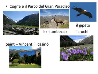 • Cogne e il Parco del Gran Paradiso
il gipeto
lo stambecco i crochi
Saint – Vincent: il casinò
 
