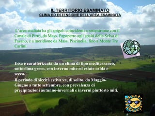 IL TERRITORIO ESAMINATO
CLIMA ED ESTENSIONE DELL’AREA ESAMINATA
L’area studiata ha gli spigoli coincidenti a settentrione con il
Canale di Pirro, da Mass. Papaperto agli spalti della Selva di
Fasano, e a meridione da Mass. Piscinella, fino a Monte Tre
Carlini.
Essa è caratterizzata da un clima di tipo mediterraneo,
sottoclima greco, con inverno mite ed estate calda e
secca.
Il periodo di siccità estiva va, di solito, da Maggio-
Giugno a tutto settembre, con prevalenza di
precipitazioni autunno-invernali e inverni piuttosto miti.
 