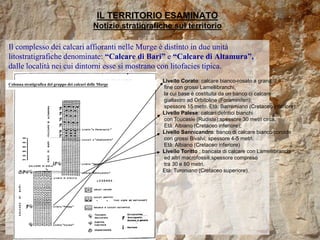 IL TERRITORIO ESAMINATO
Notizie stratigrafiche sul territorio
Il complesso dei calcari affioranti nelle Murge è distinto in due unità
litostratigrafiche denominate: “Calcare di Bari” e “Calcare di Altamura”,
dalle località nei cui dintorni esse si mostrano con litofacies tipica.
Livello Corato: calcare bianco-rosato a grana
fine con grossi Lamellibranchi,
la cui base è costituita da un banco ci calcare
giallastro ad Orbitoline (Foraminiferi);
spessore 15 metri. Età: Barremiano (Cretaceo inferiore);
Livello Palese: calcari detritici bianchi
con Toucasie (Rudiste);spessore 30 metri circa.
Età: Albiano (Cretaceo inferiore);
Livello Sannicandro: banco di calcare bianco coroide
con grossi Bivalvi; spessore 4-5 metri.
Età: Albiano (Cretaceo inferiore)
Livello Toritto : bancata di calcare con Lamellibranchi
ed altri macrofossili,spessore compreso
tra 30 e 80 metri.
Età: Turoniano (Cretaceo superiore).
Colonna stratigrafica del gruppo dei calcari delle Murge
 