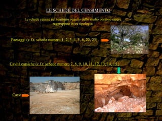 LE SCHEDE DEL CENSIMENTO
Le schede censite nel territorio oggetto dello studio possono essere
raggruppate in tre tipologie:
Paesaggi (c.f.r. schede numero 1, 2, 3, 4, 5, 6, 22, 23)
Cave
Cavità carsiche (c.f.r. schede numero 7, 8, 9, 10, 11, 12, 13, 14, 15 )
 