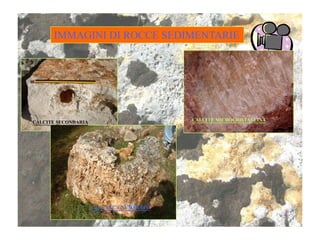 IMMAGINI DI ROCCE SEDIMENTARIEIMMAGINI DI ROCCE SEDIMENTARIE
CALCITE SECONDARIA CALCITE MICROCRISTALLINA
CALCARE A NUMMULITI
 