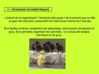 11- TÈCNIQUES SOCIOMÈTRIQUES L’estudi de la organització i l’evolució dels grups i de la posició que en ells ocupen els individus, prescindint de l’estructura interna de l’individu Ens facilita conèixer socialment als esportistes, estructurant socialment el grup. Ens permetrà organitzar les activitats, i si s’escau fer teràpia individual i/o de grup. 