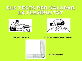 ELS TESTS PER VALORAR LA FLEXIBILITAT SIT AND REACH FLEXIÓ PROFUNDA TRONC GONIOMETRE 