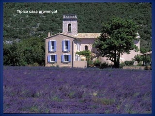 Típica casa provençal
 
