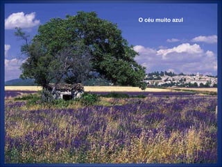 O céu muito azul
 