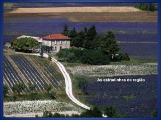 As estradinhas da região
 