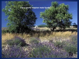Faz a gente respirar mais fundo...
 