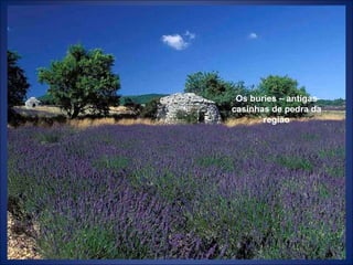 Os buries – antigas
casinhas de pedra da
região
 