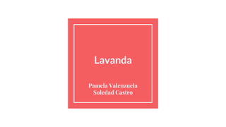 Lavanda
Pamela Valenzuela
Soledad Castro
 