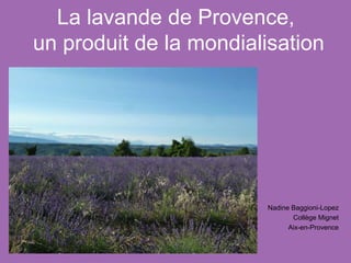 La lavande de Provence,
un produit de la mondialisation
Nadine Baggioni-Lopez
Collège Mignet
Aix-en-Provence
 