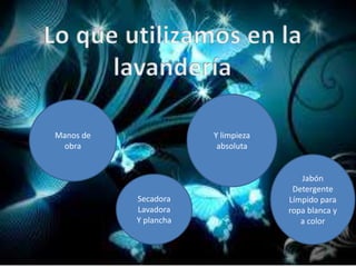 Jabón 
Detergente 
Límpido para 
ropa blanca y 
a color 
Y limpieza 
absoluta 
Manos de 
obra 
Secadora 
Lavadora 
Y plancha 
 