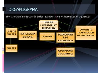 Lavanderia y roperia